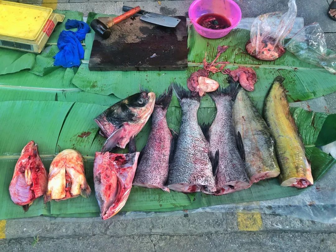 西双版纳傣族赶街视频,勐腊县勐仑镇赶街