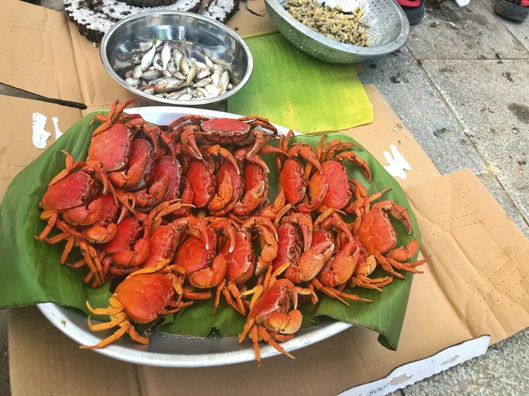 西双版纳傣族赶街视频,勐腊县勐仑镇赶街