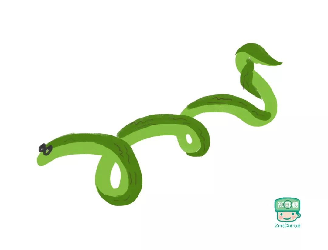 贝多芬梵高谁有抑郁症,梵高贝多芬抑郁症