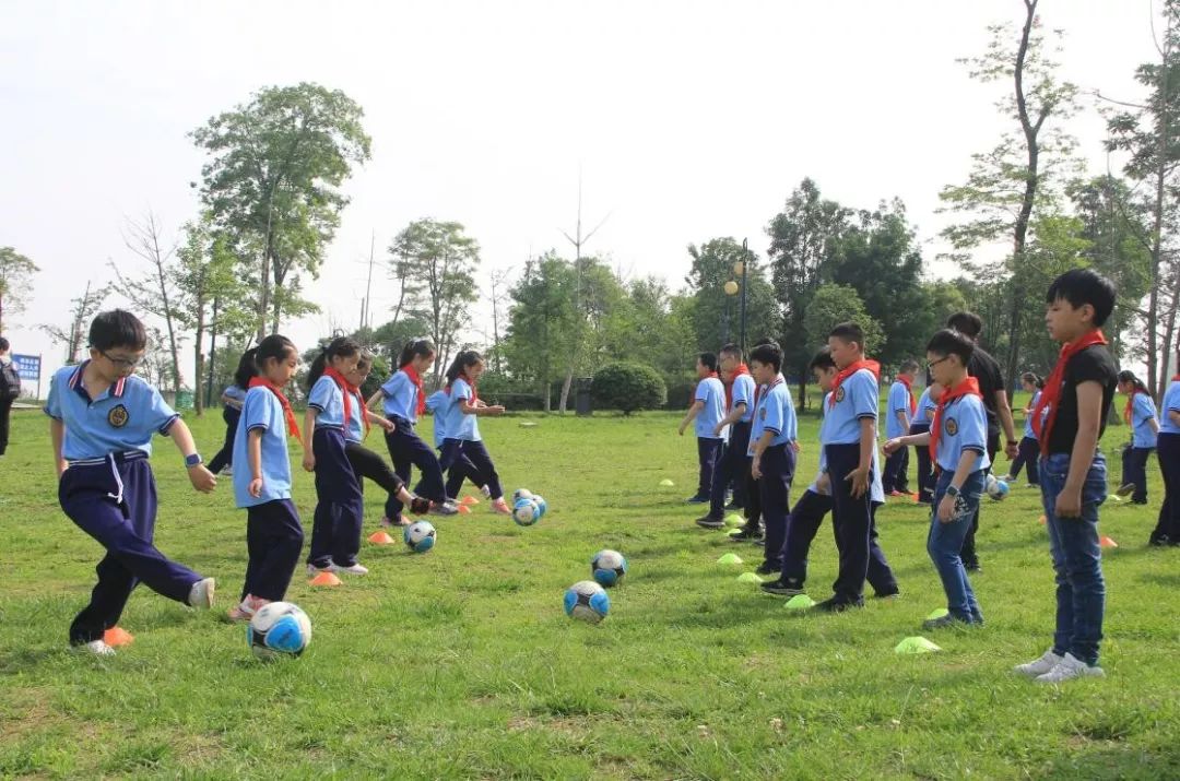 中小学生研学活动是什么,小学综合实践活动研学课程
