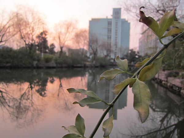 在宁波生活是怎样的体验,在宁波读书的真实感受