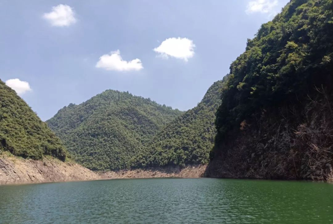 脱贫征文|三条鱼一千多元，穷山沟变“聚宝盆”！