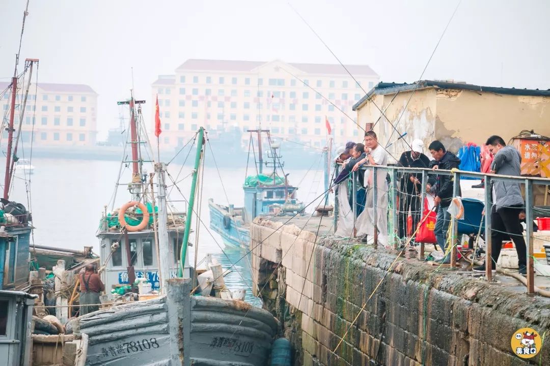 小港码头有蛏子吗,小港码头吃海鲜俱乐部电话