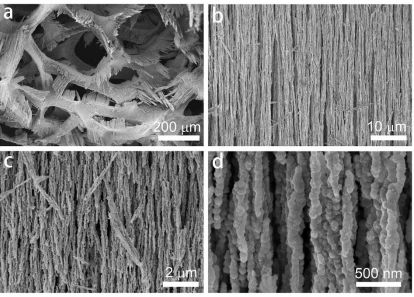 厦大NatureCat.，天大NatureCat.,催化前沿每周精选丨1014-1020