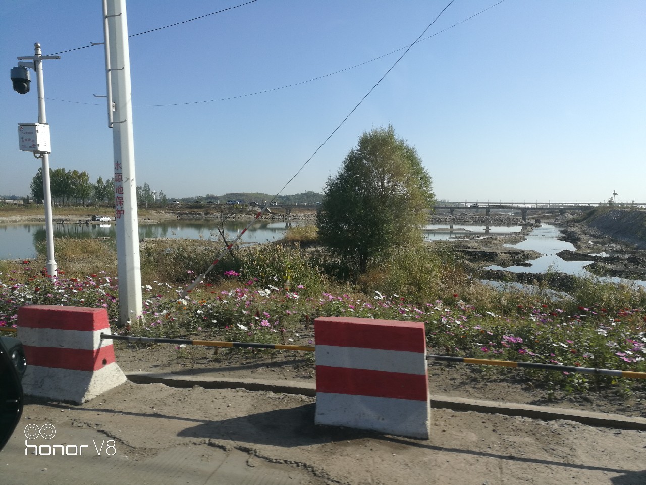 初春野河钓小杂鱼,野钓避杂鱼