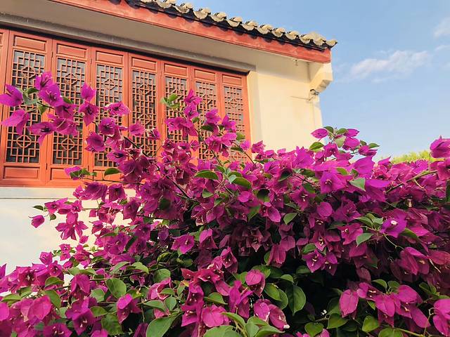 12月潮汕旅游攻略3天2夜,广东潮汕旅游12月份