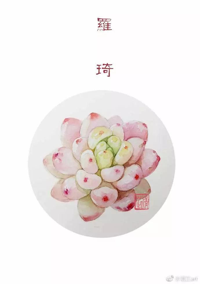 什么多肉不需要太强的光照,光照不足也能养的多肉