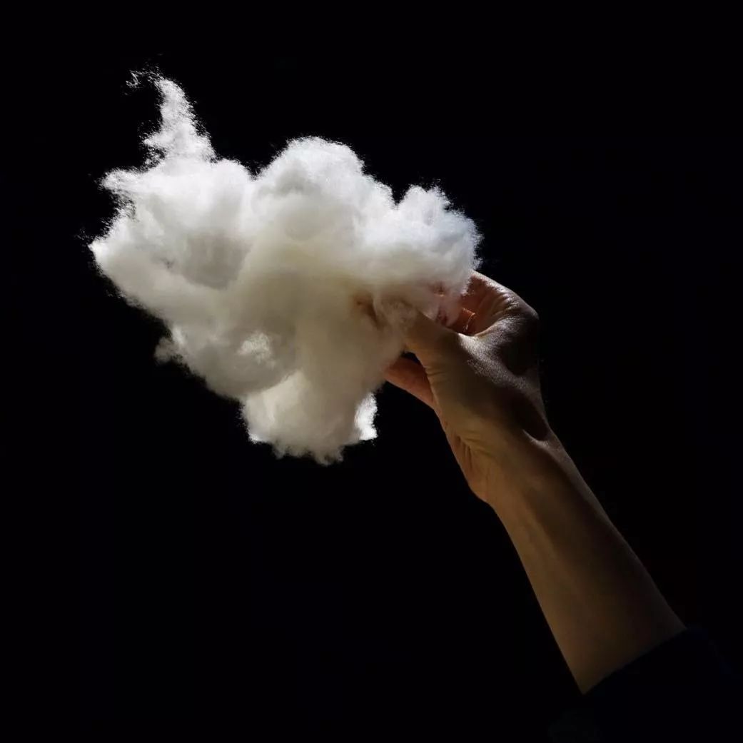 冬季羊绒,冬天羊绒