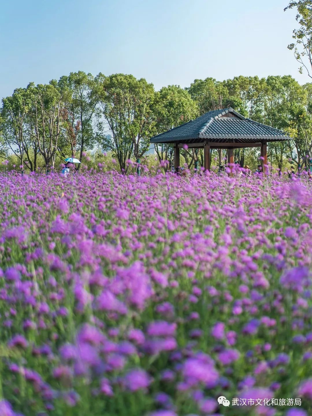 所有女生！江滩“上新”了秋游好去处