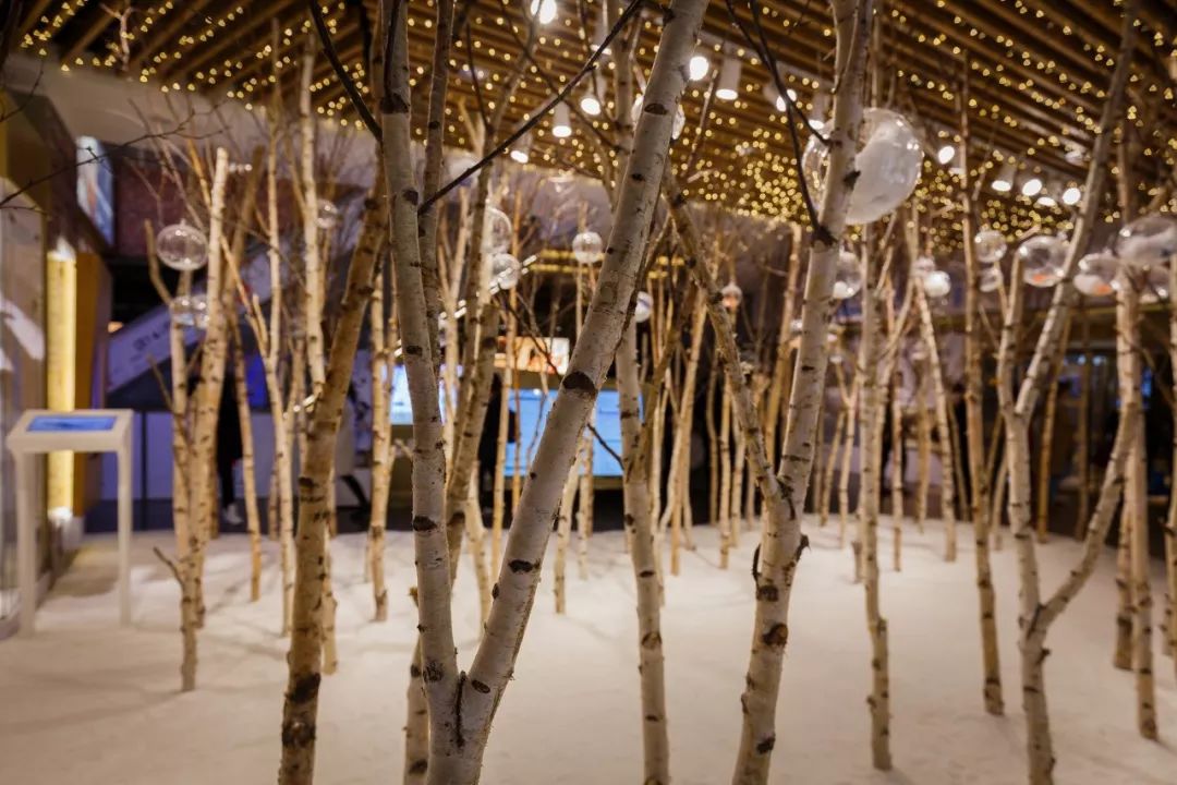 深夜魔都游玩攻略,魔都夜晚好去处