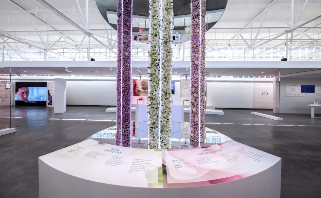 dior迪奥春夏,dior迪奥经典款