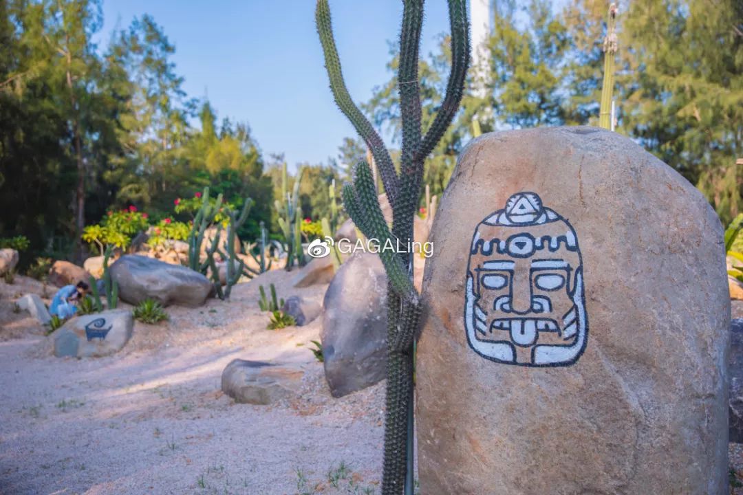 大V推荐|国内少有的黄金沙滩海岸,漳州六鳌游玩必备攻略,拍照小贴士!