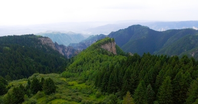 全国绿化奖章甘肃获得者,国土绿化模范单位荣誉称号