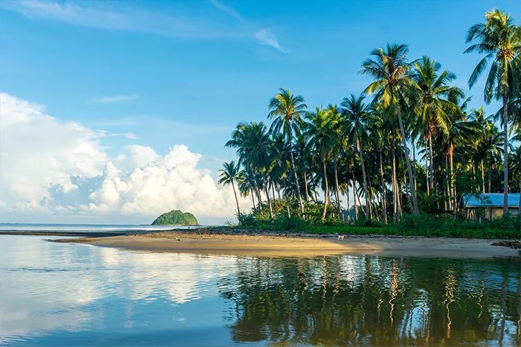 秋冬超级爆款面霜医用,秋冬面霜保湿滋润成人用推荐国货