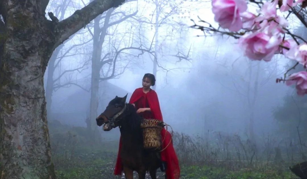 人气最高网红村姑,盘点曾经很火的村姑网红