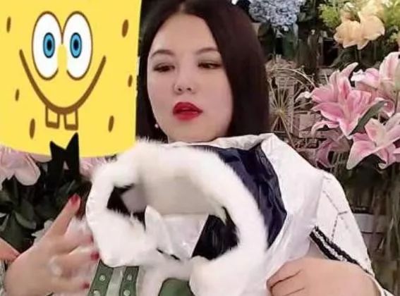 玩转私域流量营销,玩转私域流量与变现