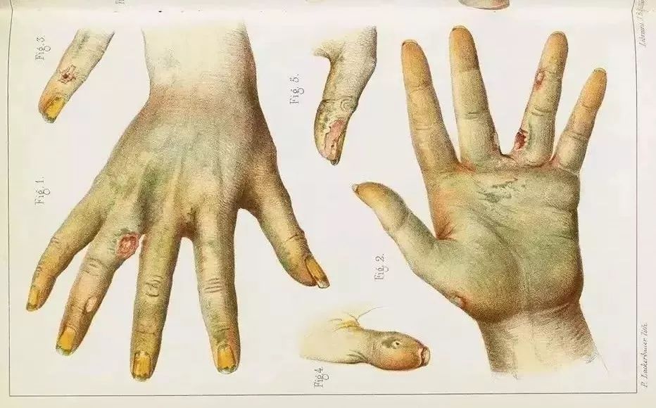 仿生人会梦见克莱因蓝吗,仿生人会梦见机器羊吗