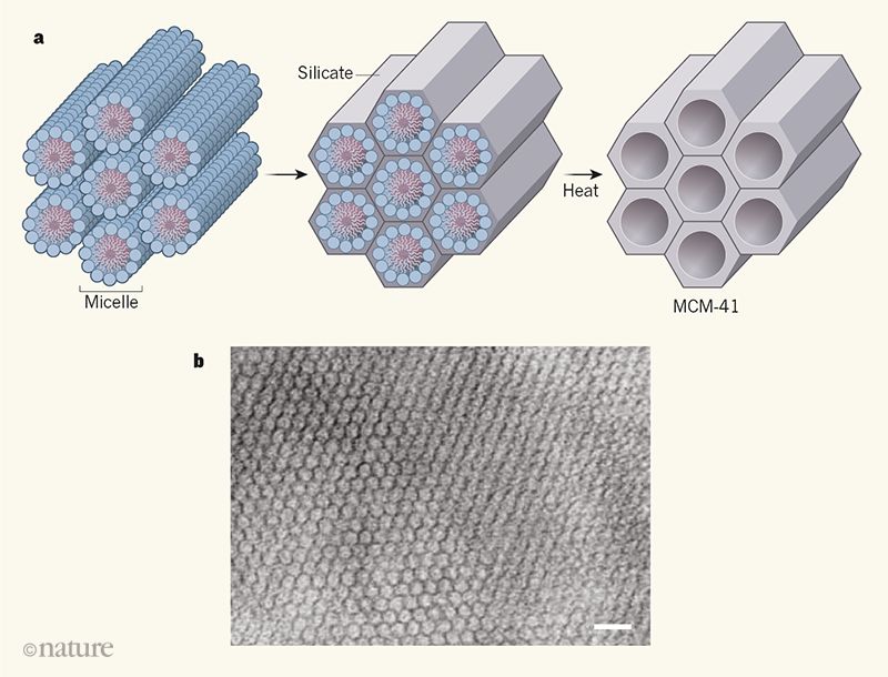 自然论文最新,自然最新论文