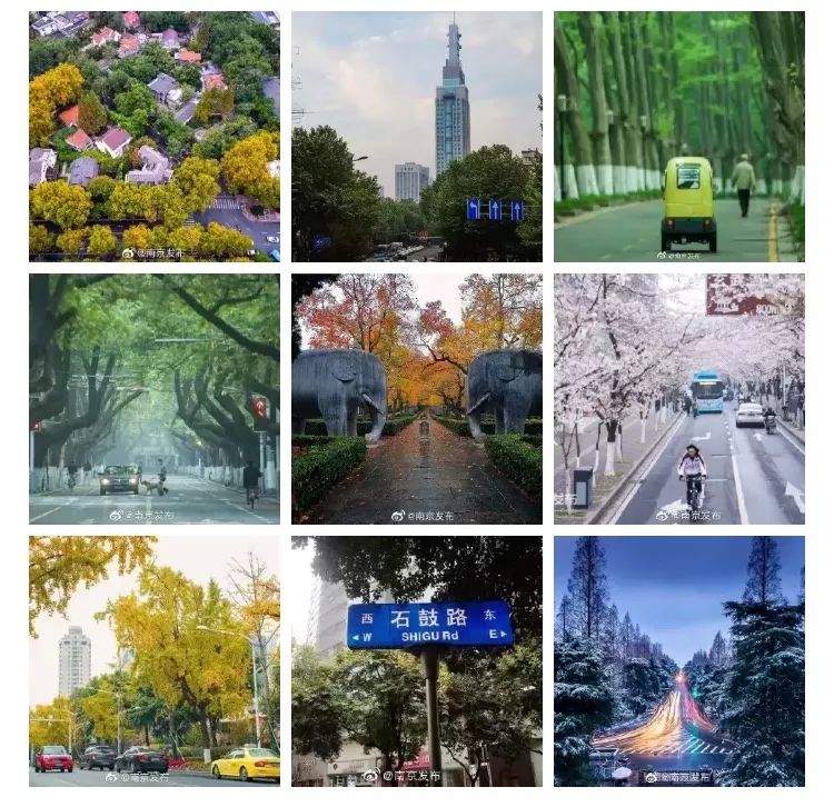 天呐！被南京这些路圈粉！