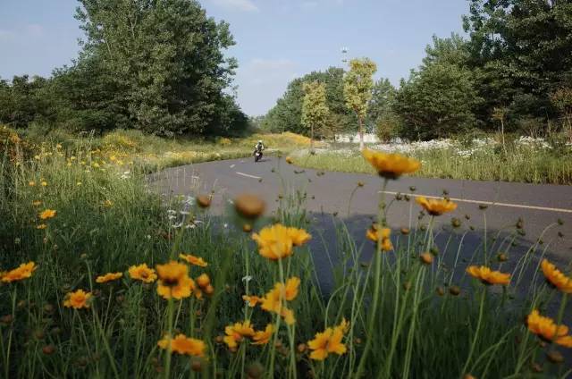 天呐！被南京这些路圈粉！