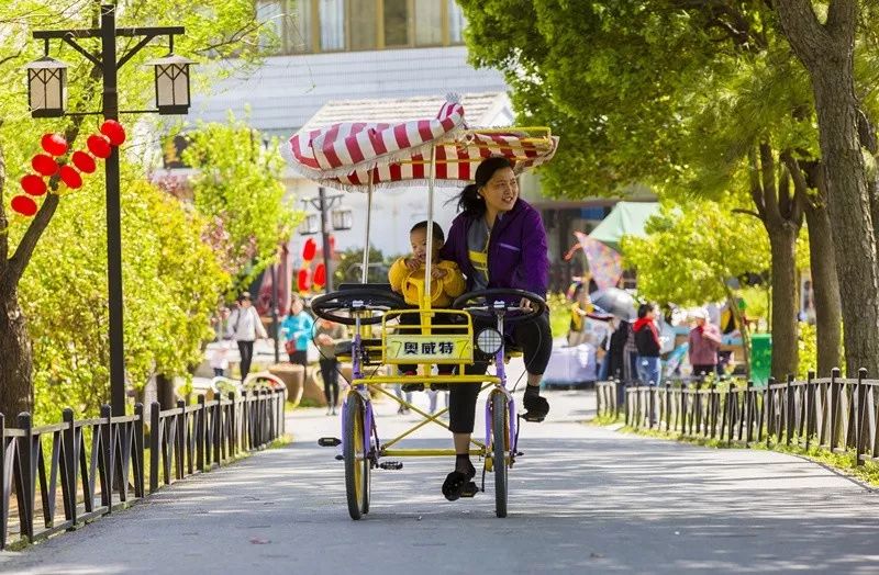天呐!被南京这些路圈粉!