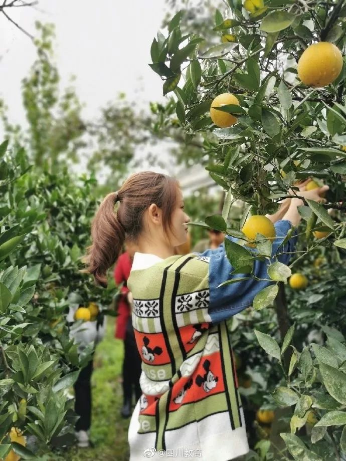 成都最有名的冷知识,成都冷知识