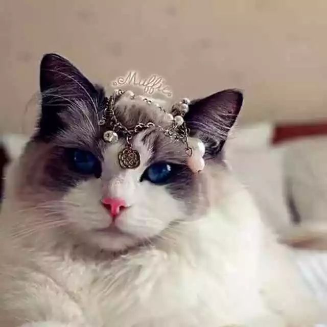 战痘总结,战痘十年是什么样子