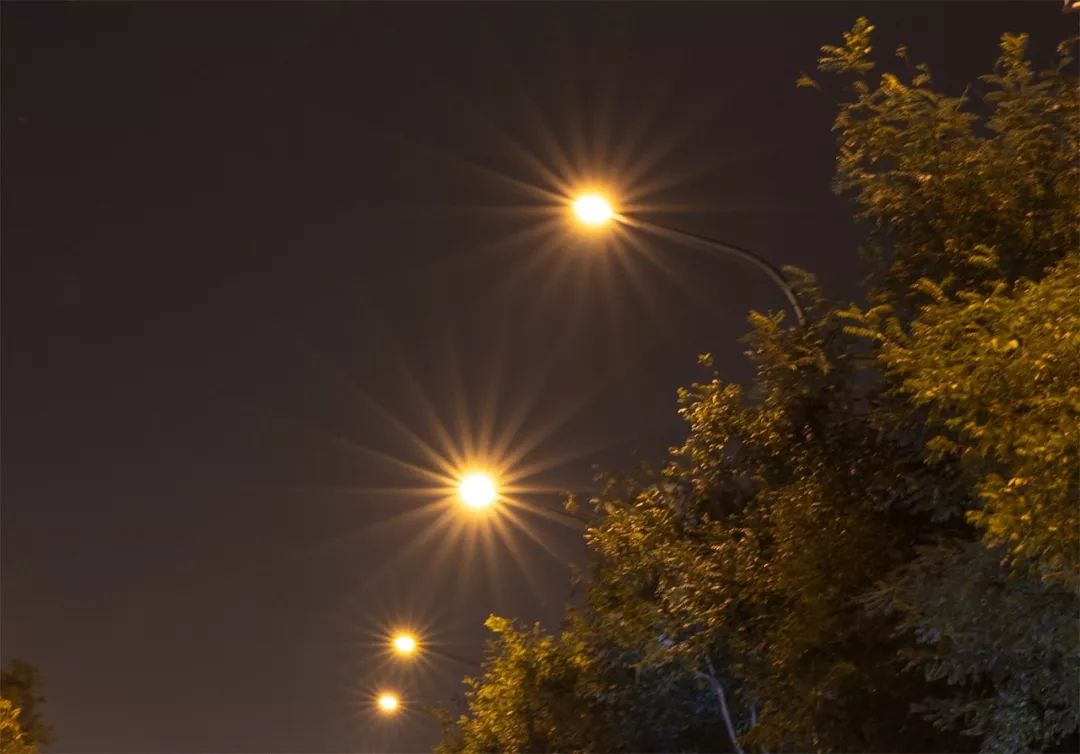 rf24-70f28闀滃ご璇勬祴,rf24-70f2.8闀滃ご閫備笉閫傚悎鏂版墜