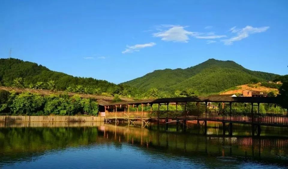 拒绝“套路”!闽侯人家门口这场“国潮范”双十一活动优惠最实在