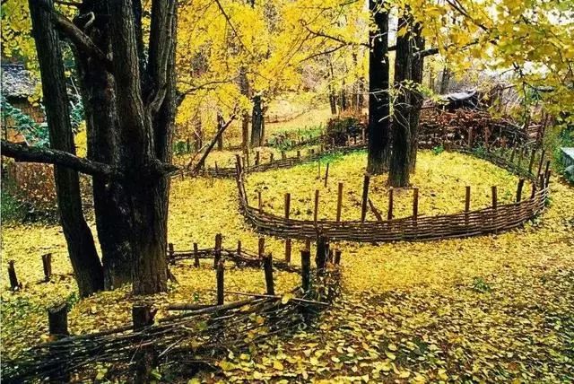 对不起，这个秋天我要去韶关南雄