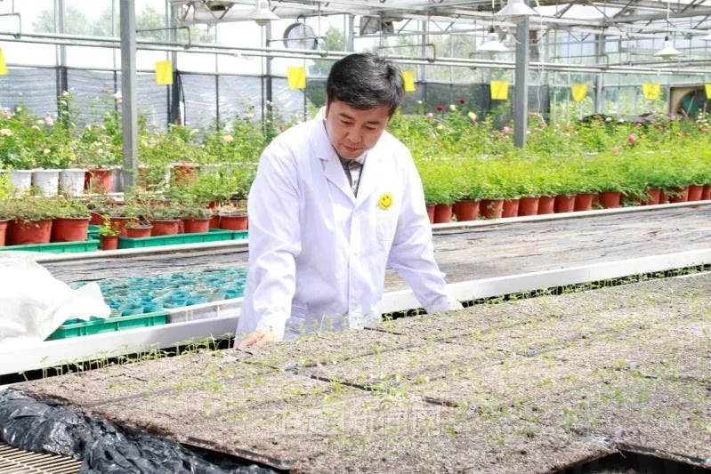 真“治”地有声”!冰城“菜博士”喂土地“喝酸奶”走上央视舞台,成功融资800万