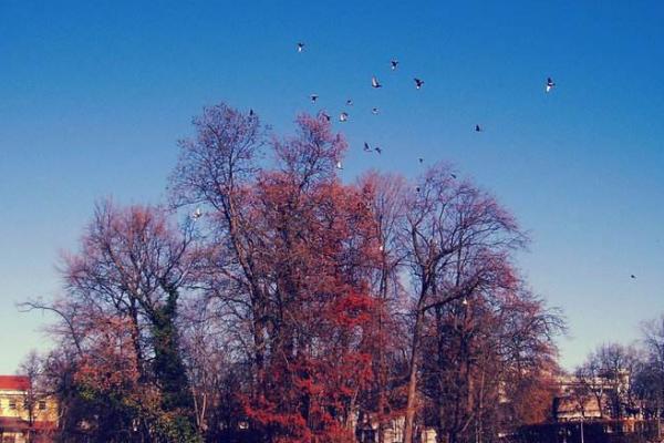 意大利签证如何办理准生证,上海意大利签证官网