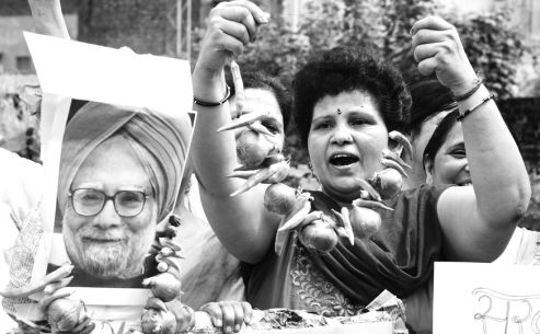 一颗洋葱让我泪流满面,一颗洋葱引发的危机