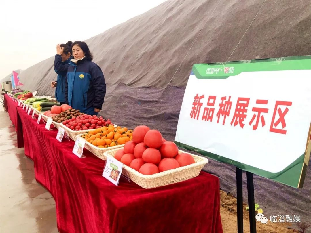 临淄经济发展现场,临淄经济社会发展