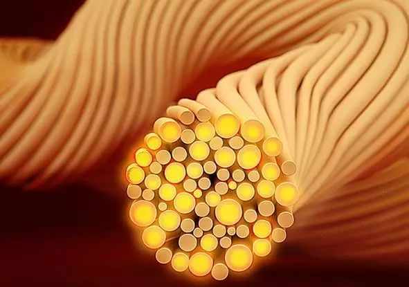 选对塑身衣让你身材无敌年龄成谜,身材管理塑身衣怎么穿教程