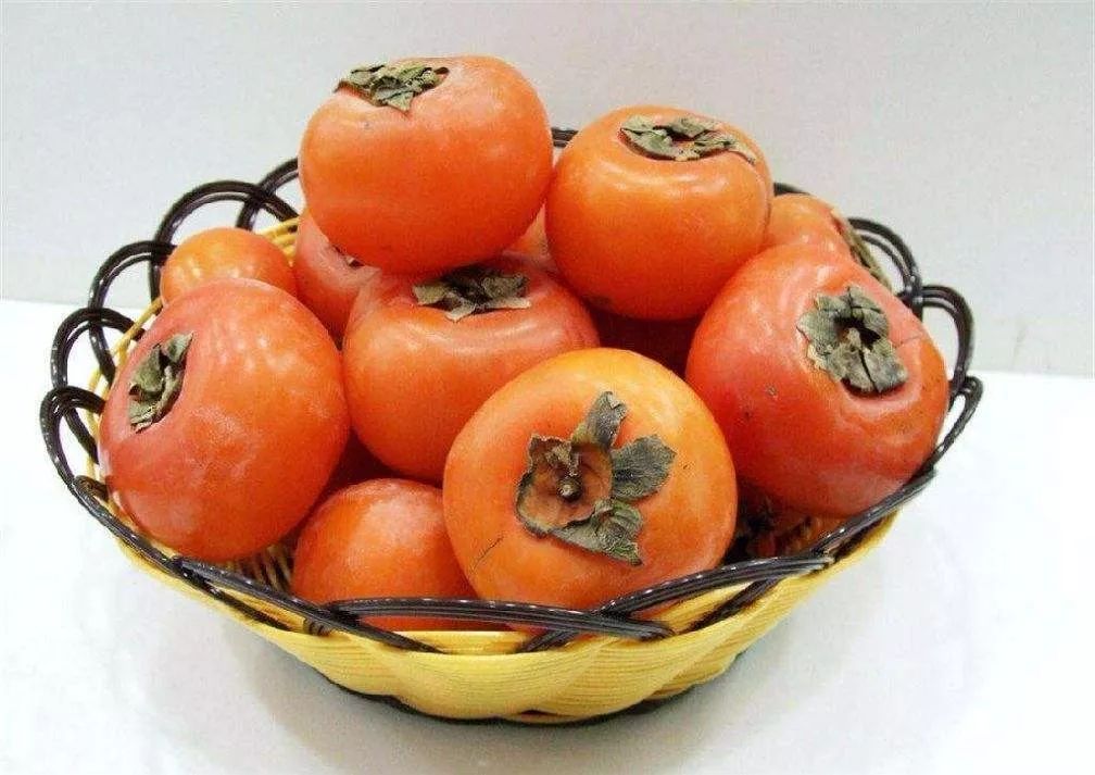 骆驼奶对糖尿病真的有好处吗,骆驼奶治疗糖尿病是不是骗局