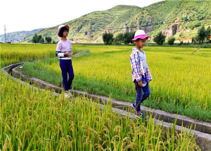 曹振华富源,富源金城路曹振华