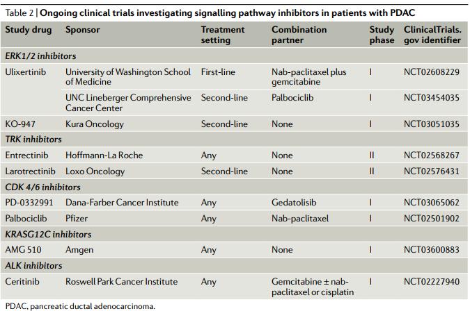 一文盘点:胰腺癌的靶向治疗和免疫治疗研究进展