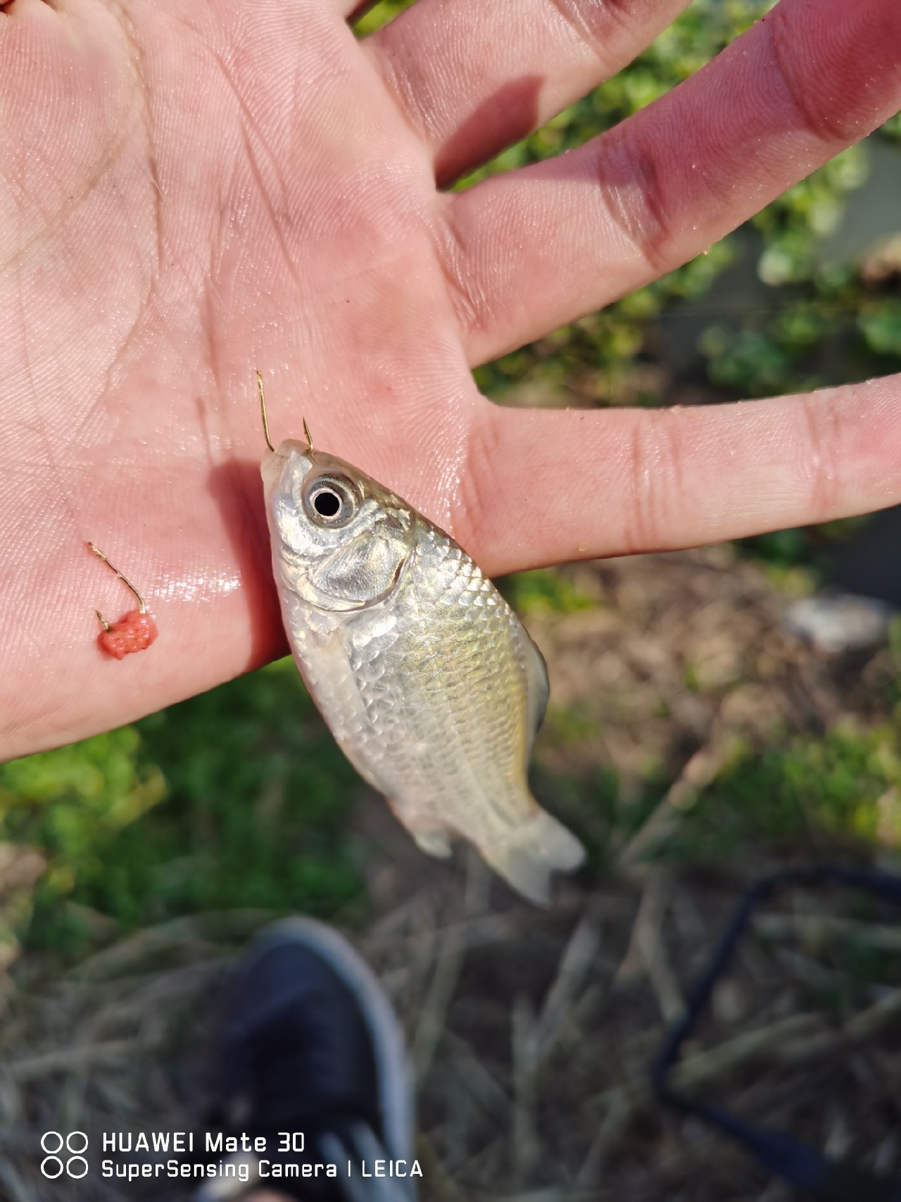 挤时间绑线组备战，没想到龙王爷给我来个透心凉