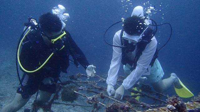 仙本那白珍珠度假村攻略,仙本那度假村深度体验