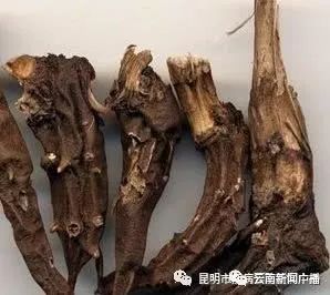 今年已致212人发病，我省发布乌头碱类中药材中毒防控预警公告