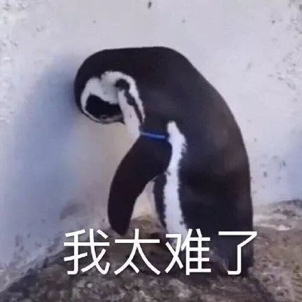 日本去咖啡渍,日本去污橡皮擦