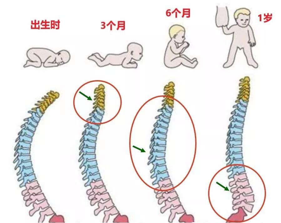 颈椎生理曲度异常怎么回事,颈椎生理曲度反曲的意思