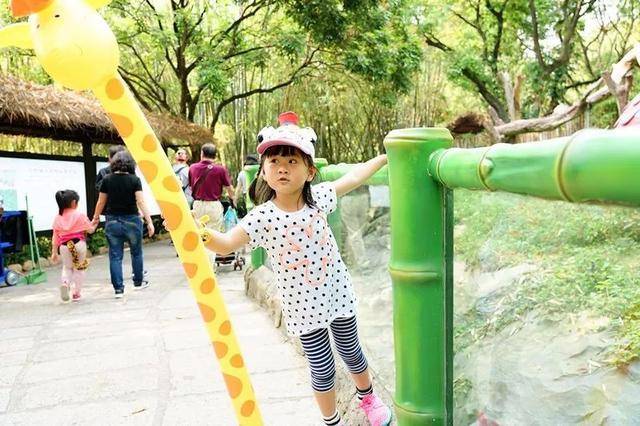 亲子游广州长隆动物园,广州长隆野生动物世界亲子游路线