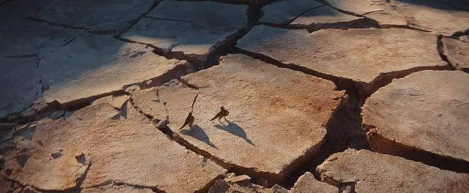 一集9.4，不愧是宇宙第一大IP