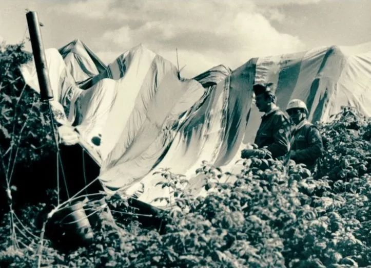 豆瓣8.6分被名字耽误,豆瓣8.3分的电影都有哪些