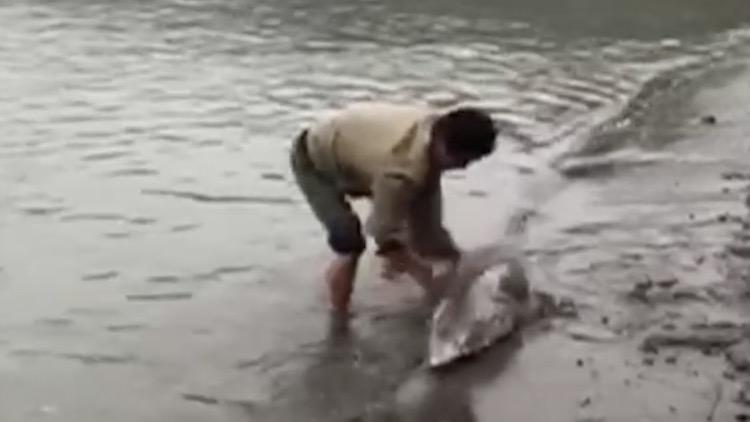 滨江新内涵:大都市里的“小确幸”