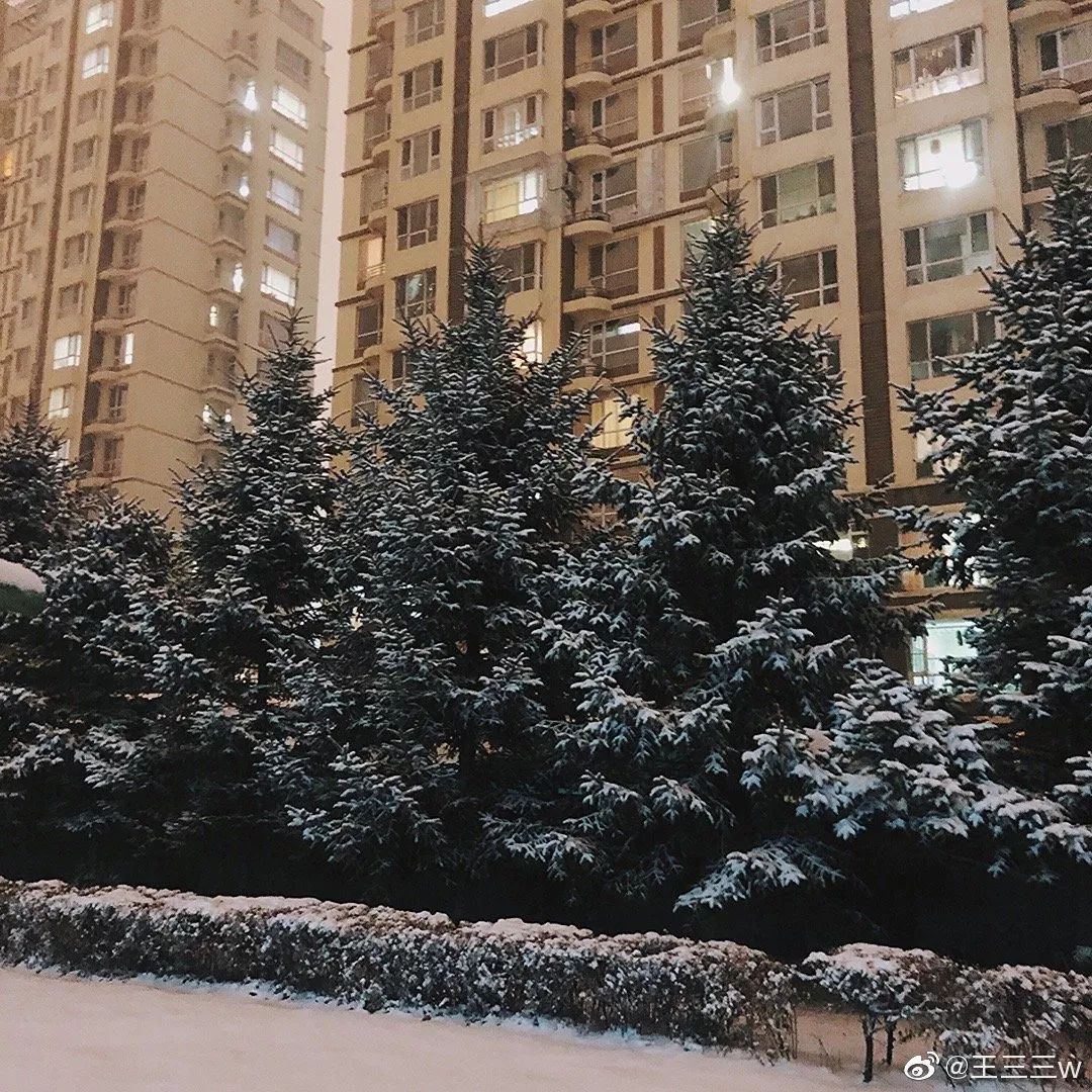 中国哪里开始下雪了,什么地方开始下雪了