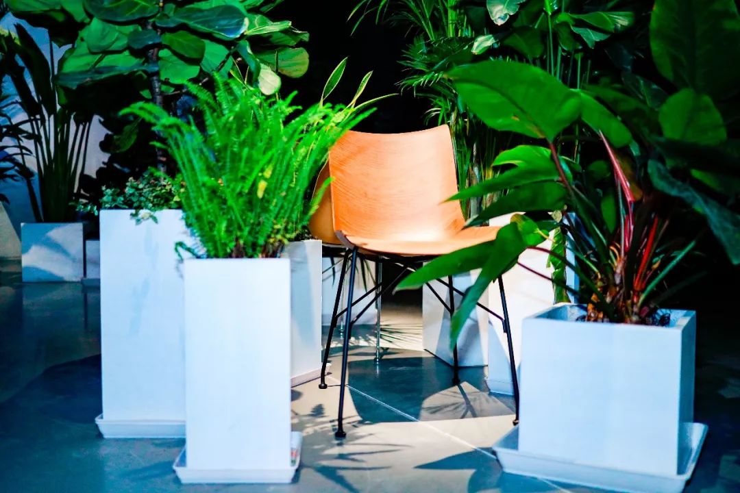 意大利水晶灯品牌kartell,kartell家具价格