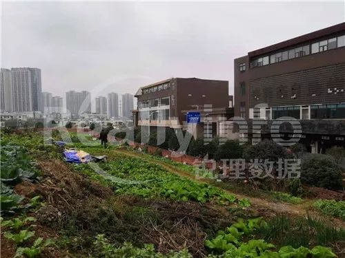 成都土拍最新消息今天时间表,成都土拍集中2021第三次青白江